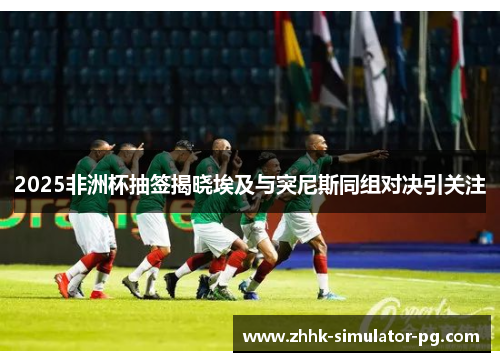 2025非洲杯抽签揭晓埃及与突尼斯同组对决引关注
