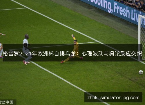 格雷罗2021年欧洲杯自摆乌龙：心理波动与舆论反应交织
